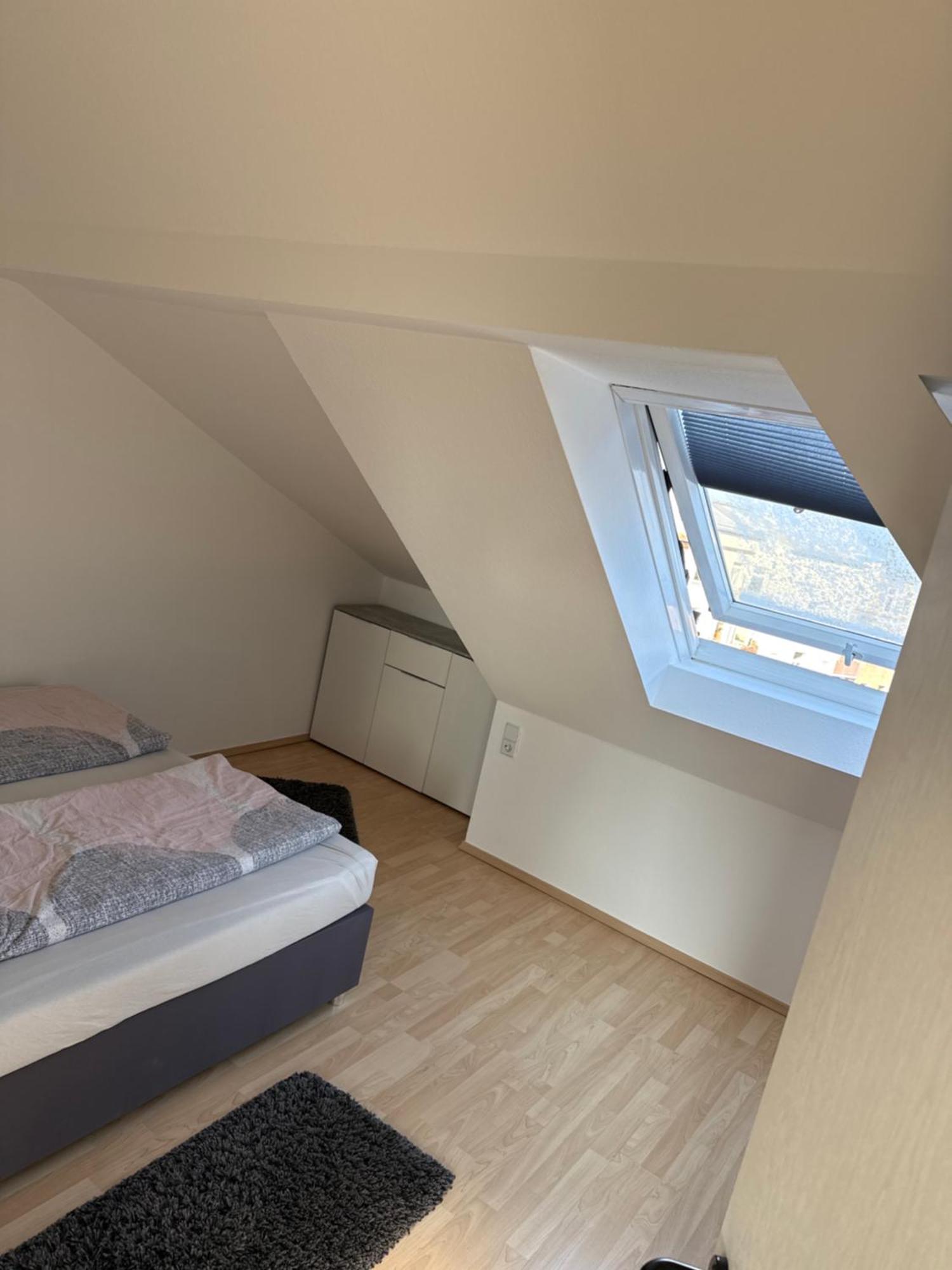 Kuschelige Dachgeschosswohnung Am Clarapark ライプツィヒ エクステリア 写真