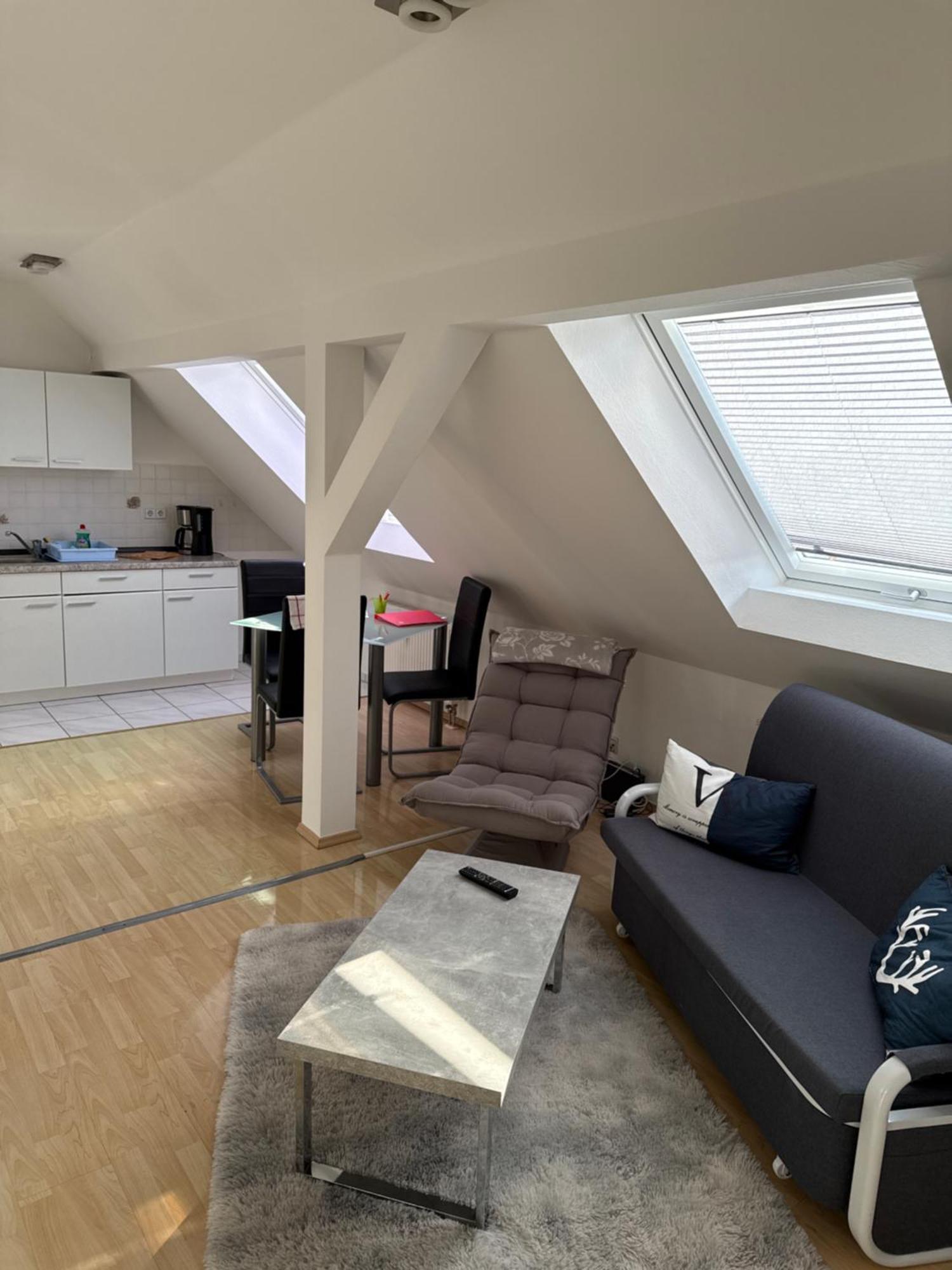 Kuschelige Dachgeschosswohnung Am Clarapark ライプツィヒ エクステリア 写真
