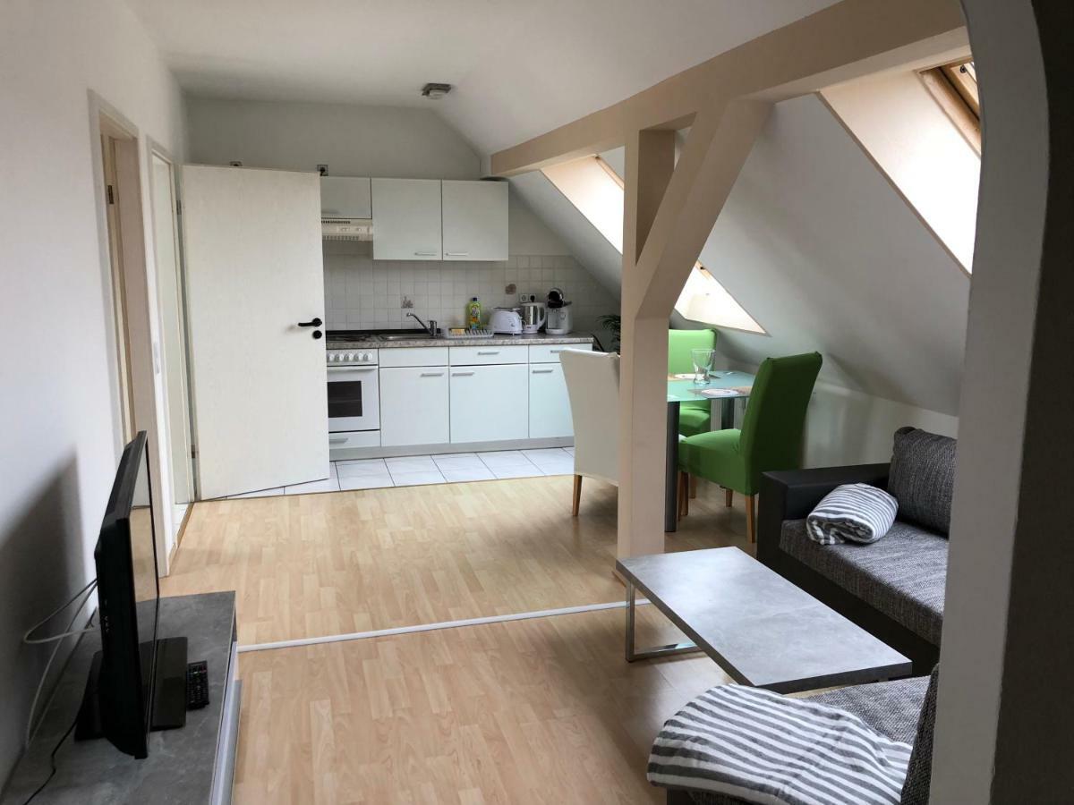 Kuschelige Dachgeschosswohnung Am Clarapark ライプツィヒ エクステリア 写真